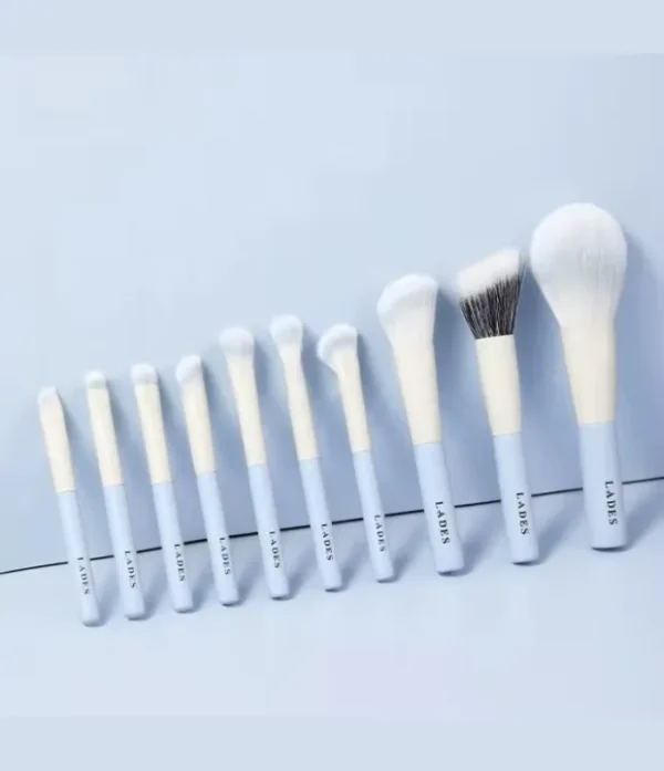 SET 10 PZAS BROCHAS DE MAQUILLAJE